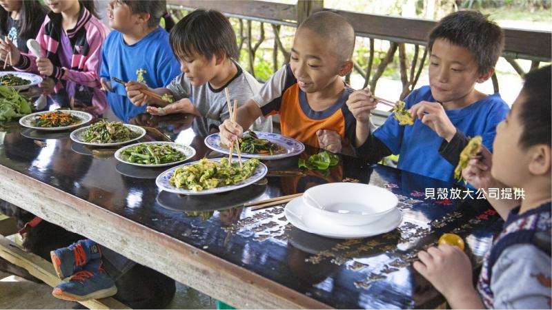 從農田到餐桌，「野菜學校」鼓勵孩子在荒野中「動手做」