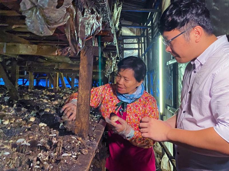 DOC職人，果毅社區發展協會，王陳秀娥執行長帶領人員認識草菇。
