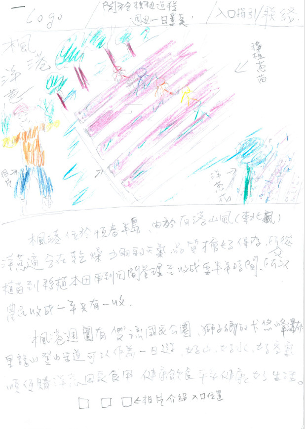 學員許瓊文大哥，以在地農產品愛文芒果、洋蔥等農特產品，為一頁網設計內容。