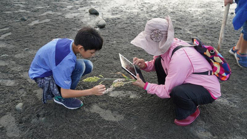 大小學員一起觀察螃蟹