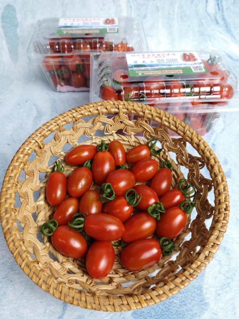 阿牛哥溫室番茄農場之小番茄盒裝照