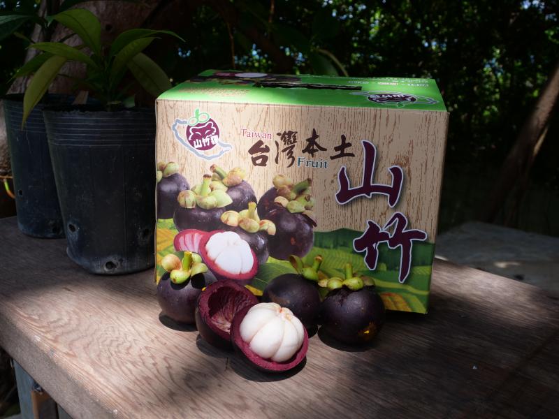 蔡大哥和山竹貍團隊仍在努力，朝著種出高品質又物美價廉的酸甜山竹邁進