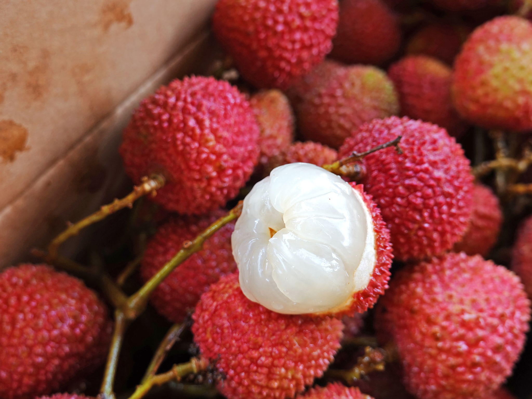 屏東內埔鄉的荔枝，因地理氣候優勢，風味獨特，肉厚多汁，甜度逼近十六、七度以上，甜而不膩的口感，超讚！