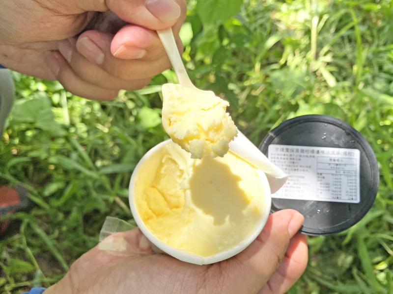 與理念相同的廠師合作打造柑橘優格冰淇淋。