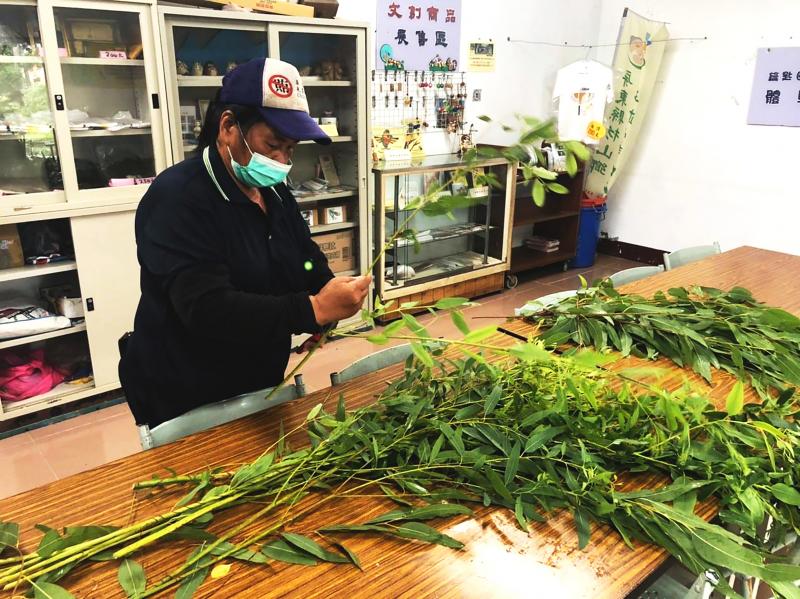 檸檬桉葉子提煉製作成