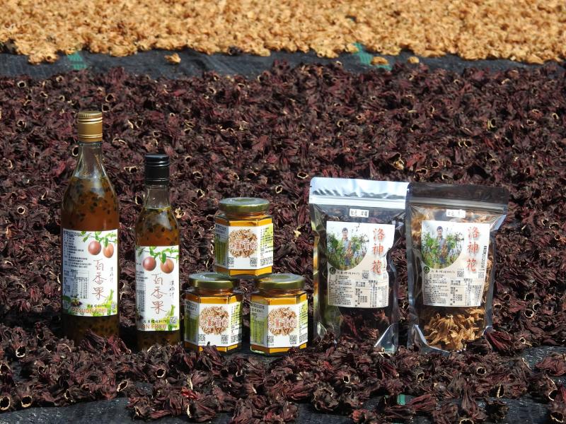 野鹿快樂農場栽種作物，有百香果、洛神花及紅薑黃粉。