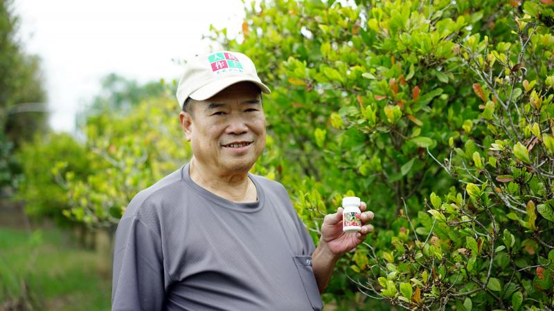 「新民社區」的社造員楊朱龍先生，多年前自國外引進「神秘果」來栽培。