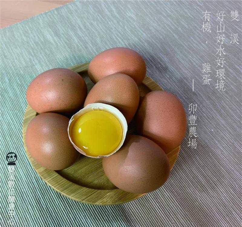 【雙溪DOC】卯豐農場有機雞蛋-封面照