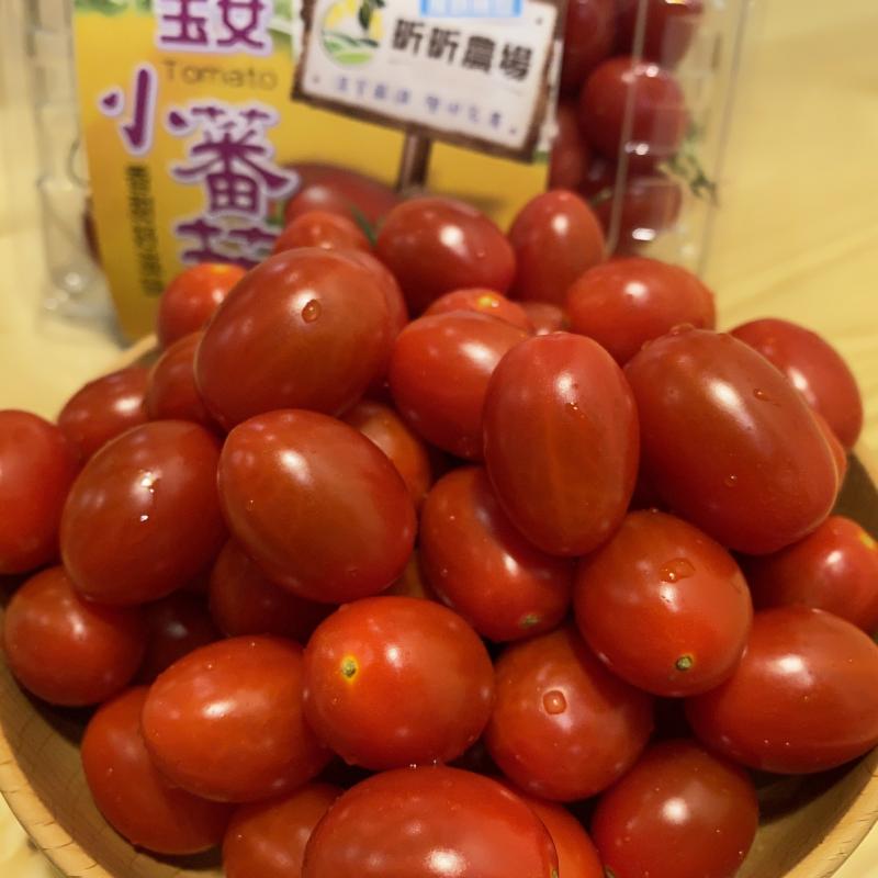 玉女番茄商品照