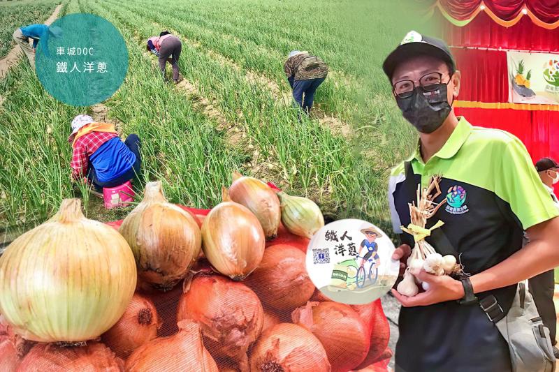 車城地區農會-青年農民聯誼會 古呈煥會長，運用數位科技種植洋蔥。