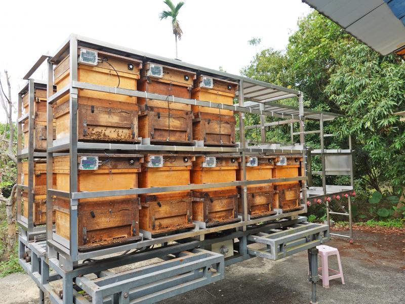 為了產出更好蜂蜜，以及解決缺工問題的養蜂車。