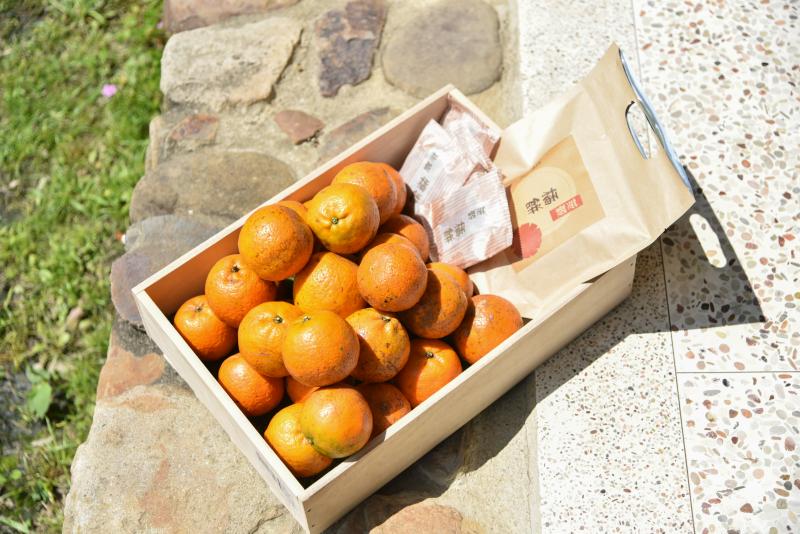 苗栗三灣《范穀有機橘園》有機農法悉心栽培　有機柑橘鮮甜多汁-封面照