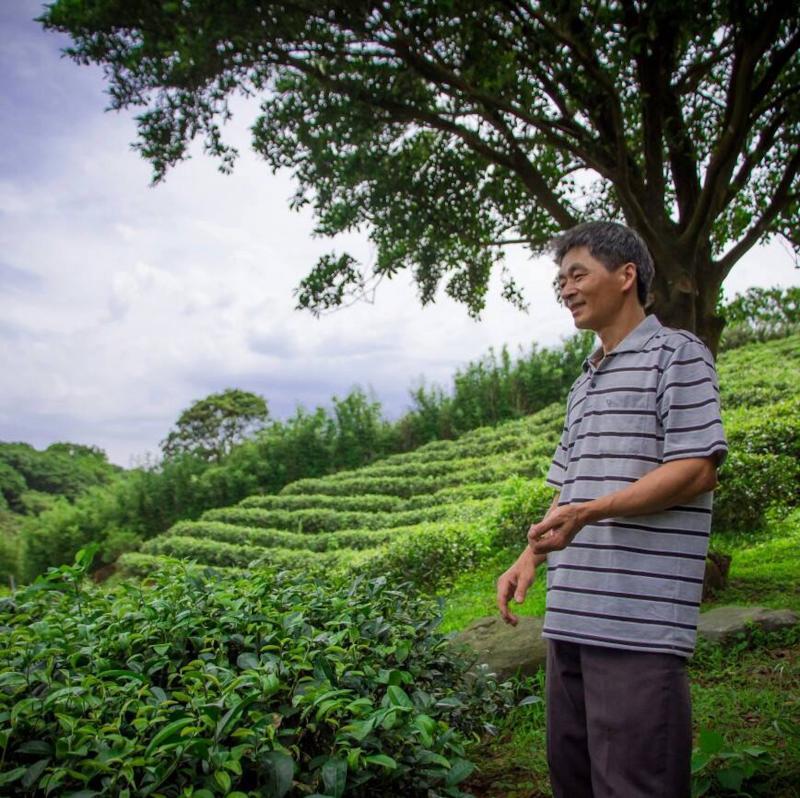 種茶職人李宗烈分享自身對於茶葉的熱愛，以及返鄉復育石門區令人驕傲的茶品「阿里磅紅茶」。