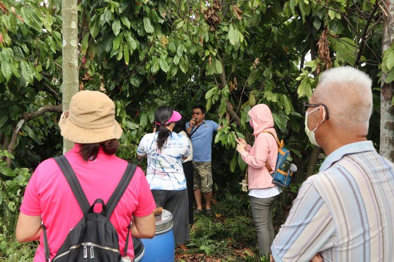 可可果樹農園導覽解說