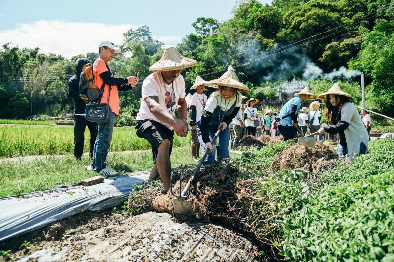 2024《DOC志工小旅行 No.4》走讀關西長壽之鄉　仙草採收土地見學-封面照