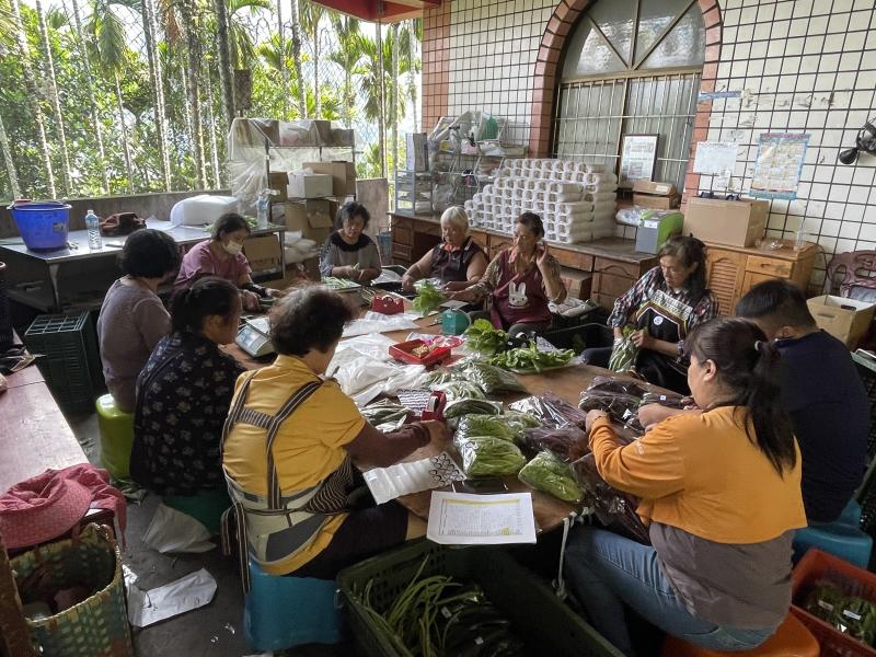 蔬菜箱訂單成長助18戶家庭穩定生活,媽媽們堅持在風災後重建田地,展現原鄉力量。邀您支持,與她們共享天然美味與希望。