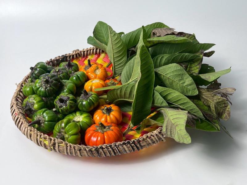 大家一起來認識野菜