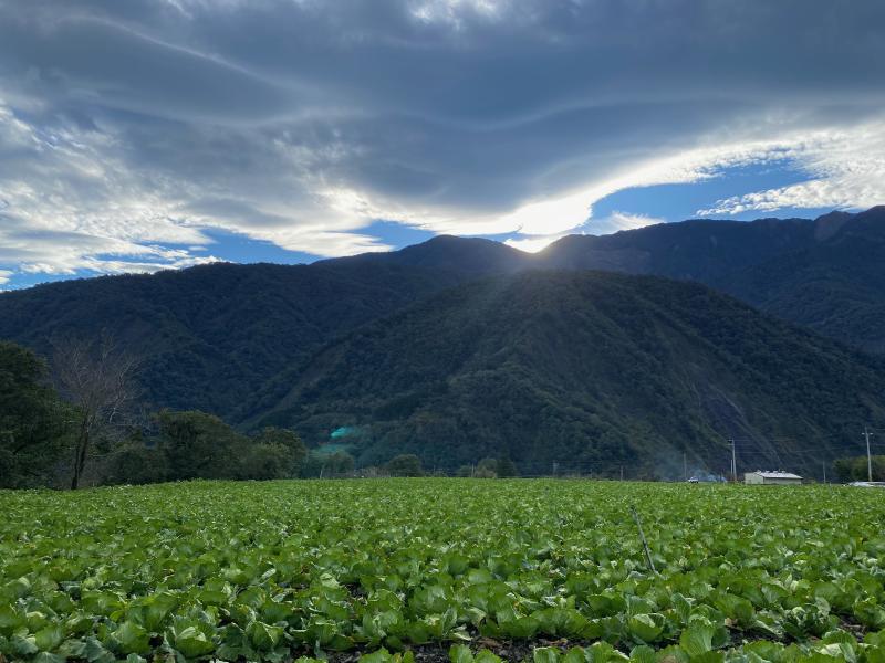 說明季節性活動消費專案