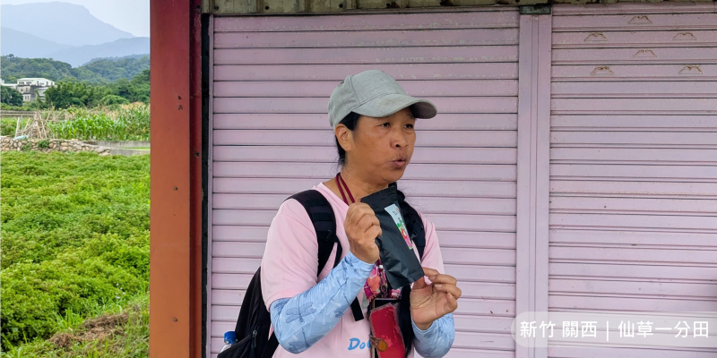 關西秘境之旅．仙草一分田-封面照