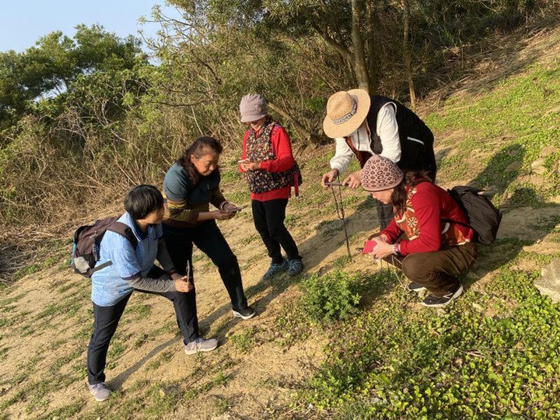 《PeoPo公民新聞》守護濱海受脅植物-封面照