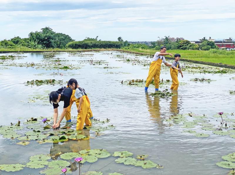 蓮花池的食農教育,認識自然生態與水生植物。