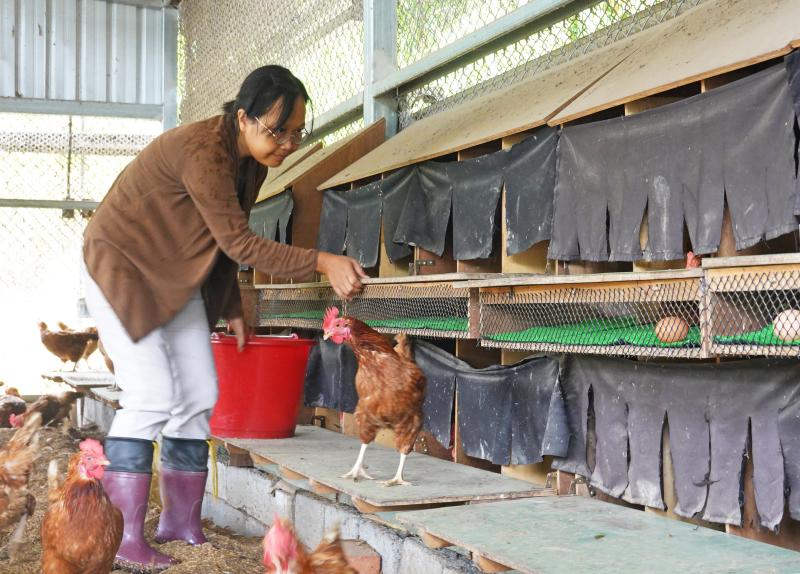 以符合動物福利的方式飼養雞隻,每顆蛋的品質、口感非常優良。