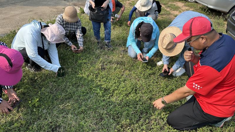 新埔國小主任帶領學員認識原生植物
