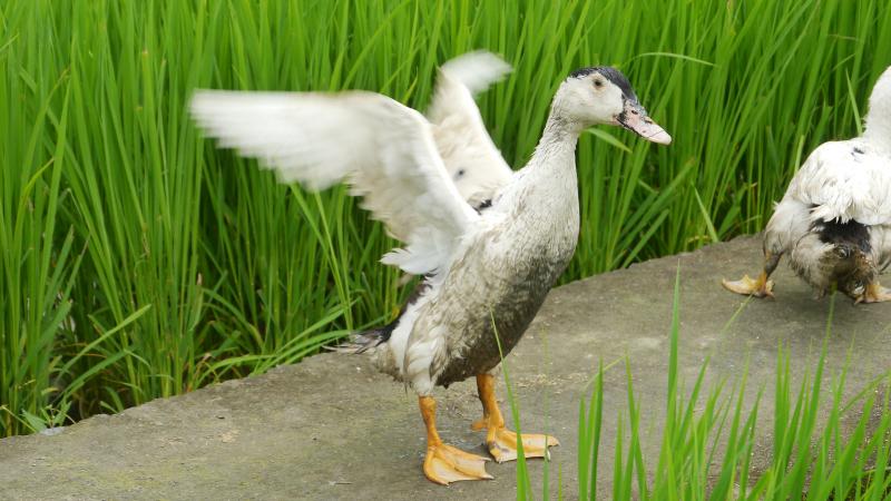 數位生活應用課程-封面照