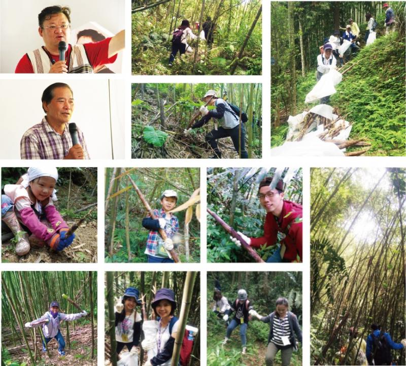 志工踏入竹筍世界，腳踩下，用力一拔，收穫滿滿