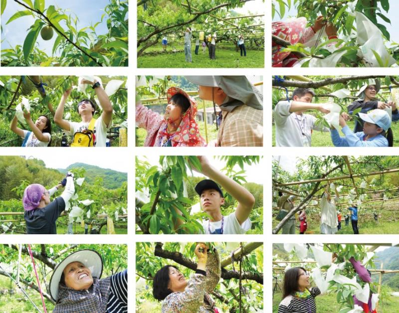 《DOC 志工小旅行》志工抬頭流汗認真勞作