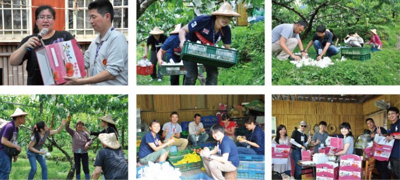 志工小旅行活動影像記錄。