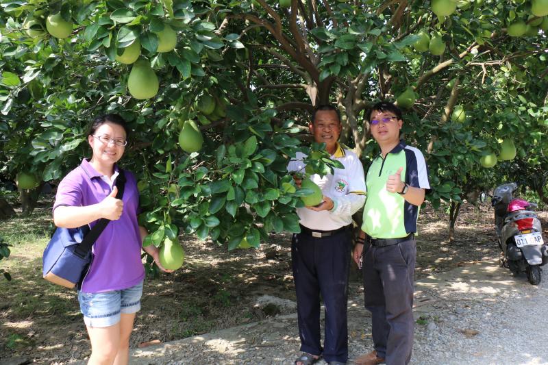 恭賀 本後壁數位機會中心-首部微電影裡-演員 林清海 園主之果園 榮獲 #2016台南文旦評鑑大賽 勇奪「文旦王」-封面照