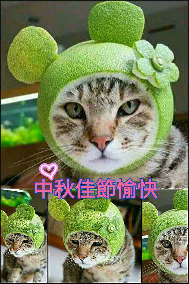 三光數位機會中心中秋佳節連假休館公告-封面照