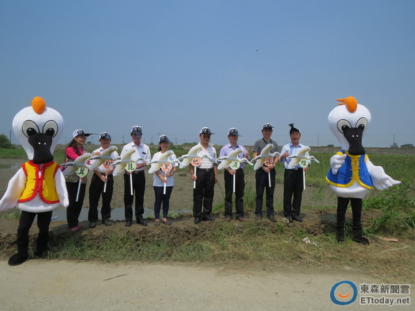 新聞露出(24)- 維護濕地讓黑琵翔翼 農委會參與2016黑面琵鷺保育季-封面照