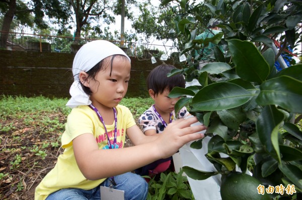 【媒體報導】4 縣市 40 名志工　協助東勢果農風災善後《自由時報》-封面照