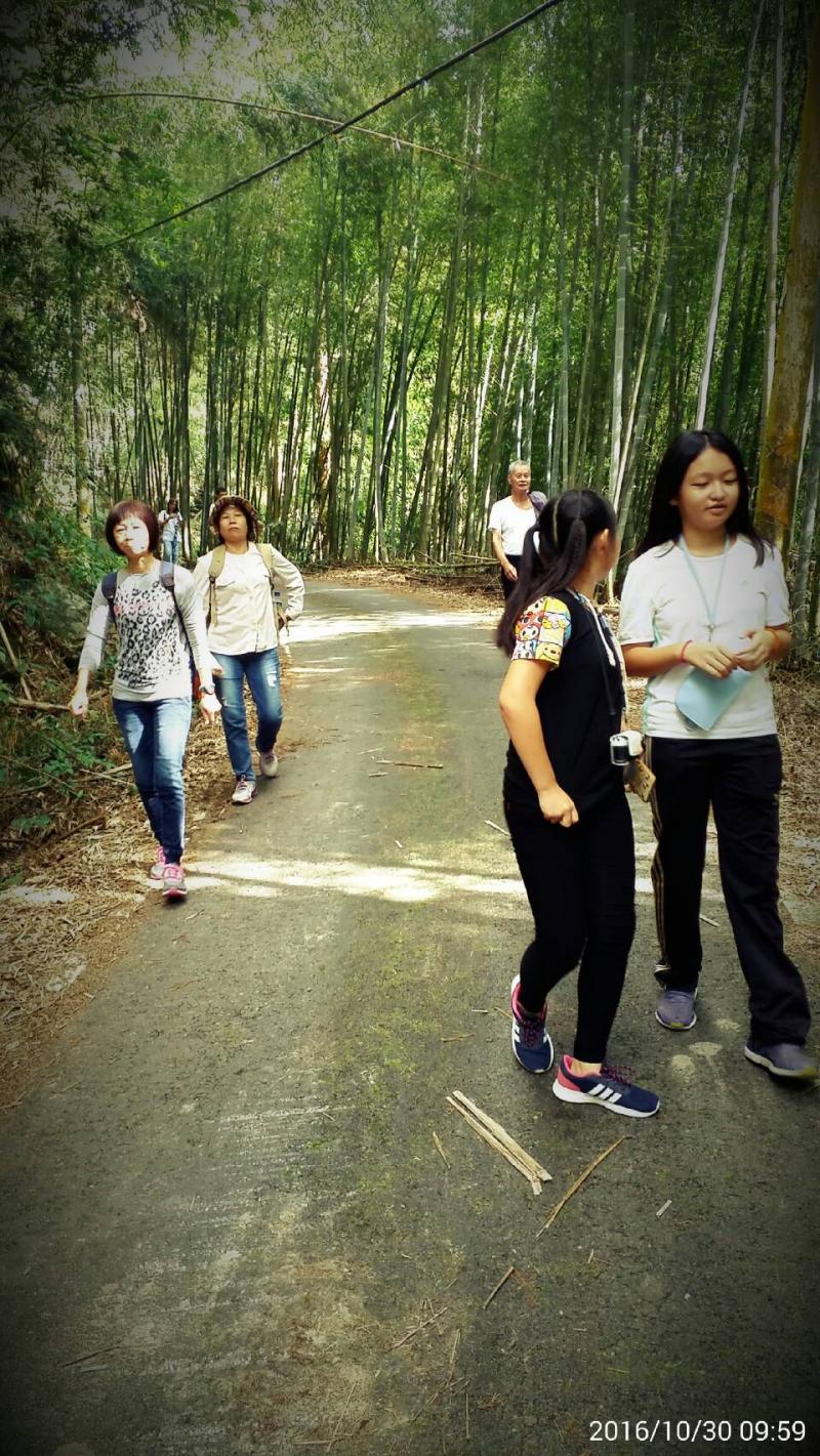 隙頂頂湖健走-封面照