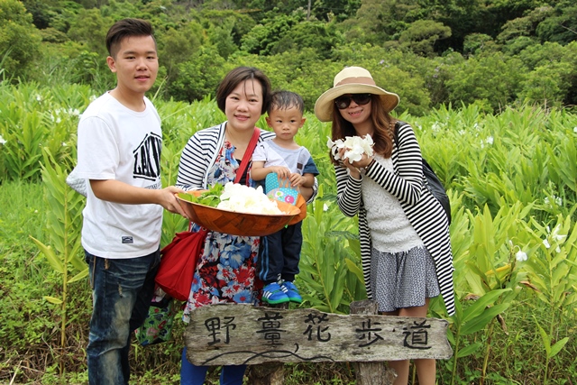 DOC志工旅行，認識原生動植物