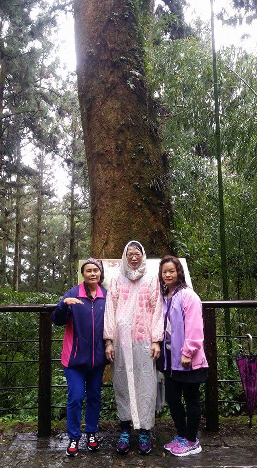 每月登山健走-封面照