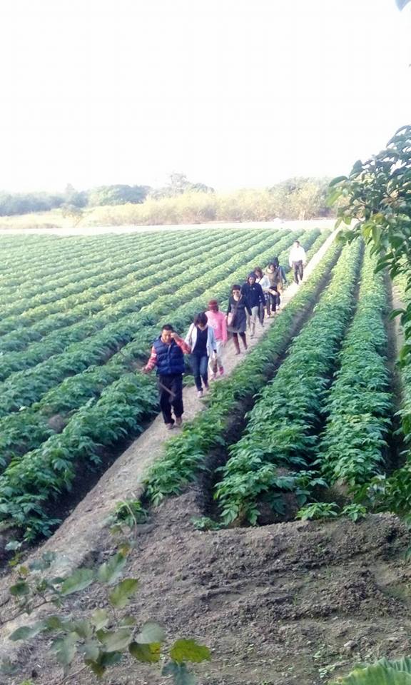 新年走春新選擇-封面照