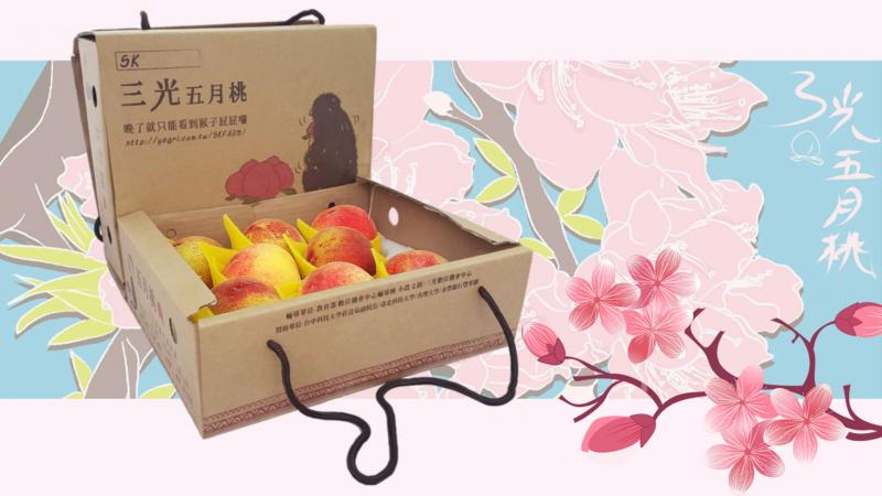 三光五月桃開賣囉~-封面照