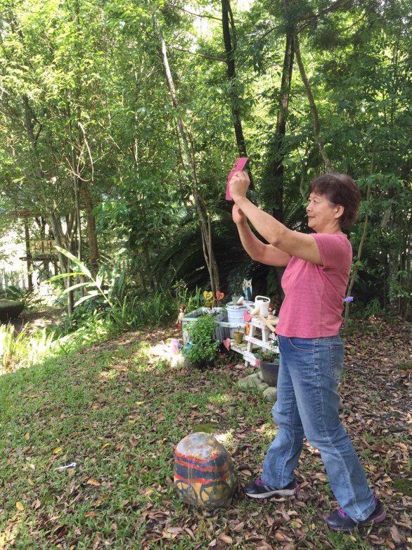 有自由DOC真好-封面照