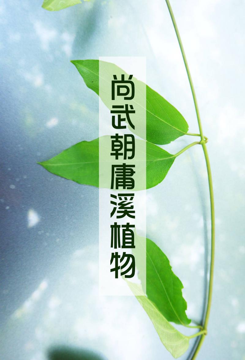 大武在地特殊植物紀錄-封面照