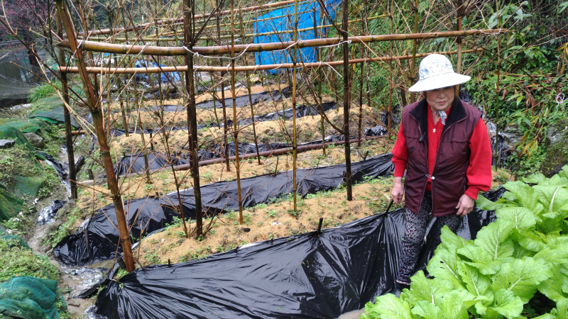輔導。改變。看見不一樣-封面照
