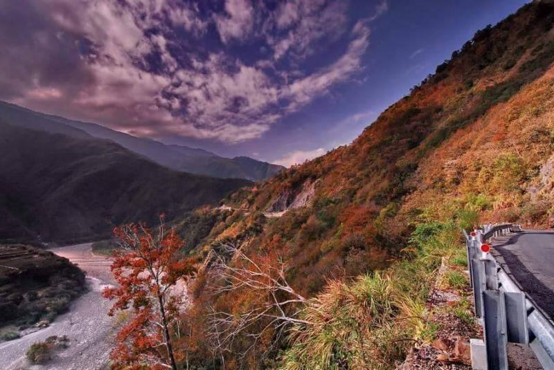 三光部落路邊的美-封面照