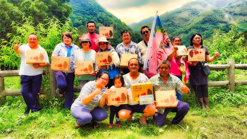 五月桃盛產中-封面照