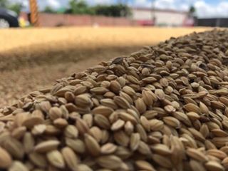 【彰雲嘉24節氣好食分享活動】-封面照