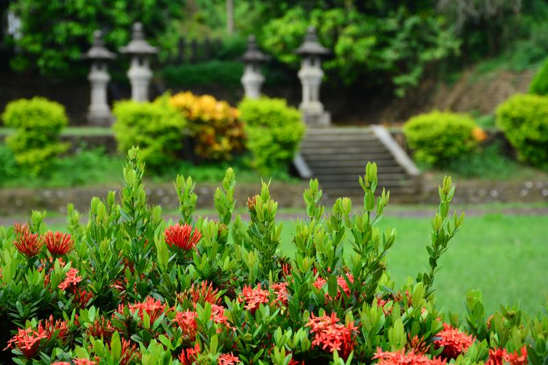 由大內國小保存的日治時期老照片