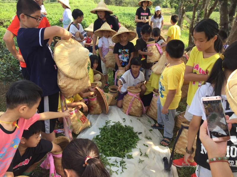 DOC 資源共享－協助沙坑國小學童體驗一日茶農-封面照