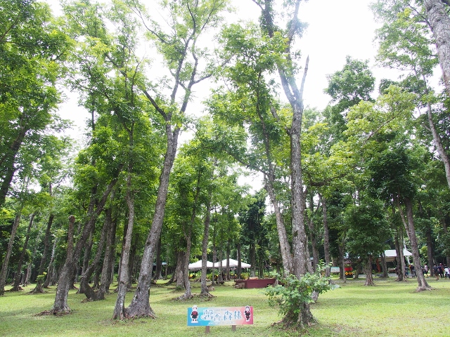 牡丹鄉的東源部落-封面照