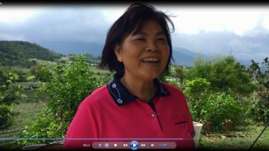 佳芳有機茶園_陳麗雪職人_卑南DOC-封面照